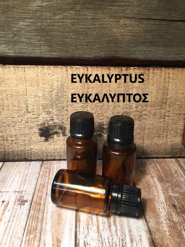 eucalyptus oil health