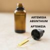 artemisia- tinctures mediterranan gold