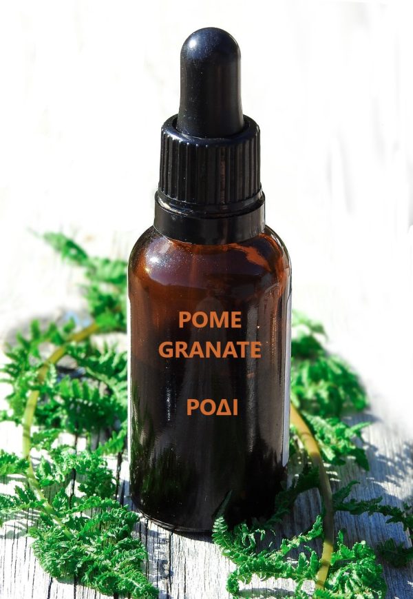 pomegranate vegetable oil antioxidant