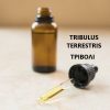 tribulus- tinctures mediterranan gold